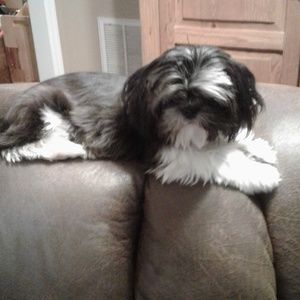 Meet your Posher, Lynda